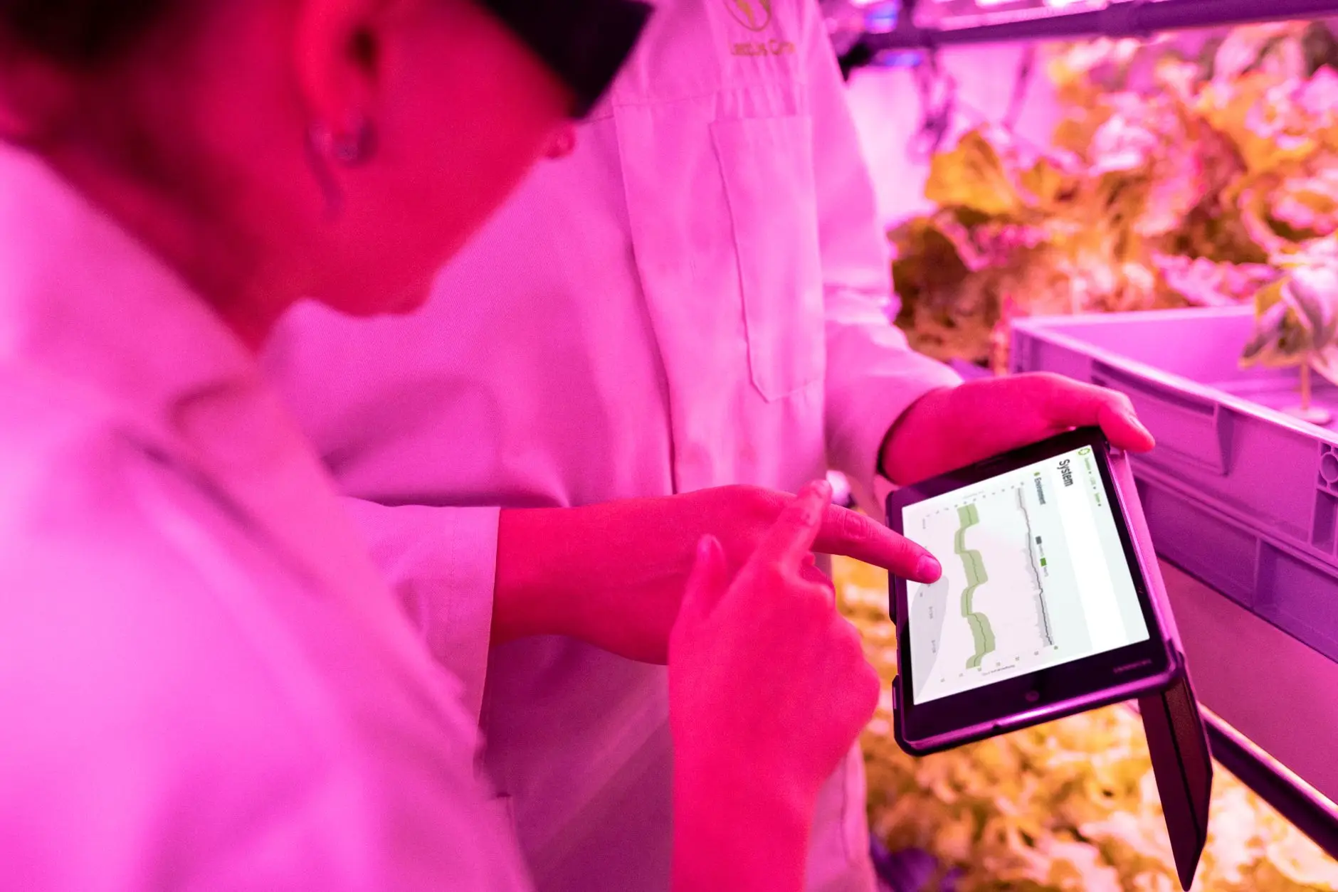 2025年专用汽车行业排放标准升级对环卫车辆配置的影响